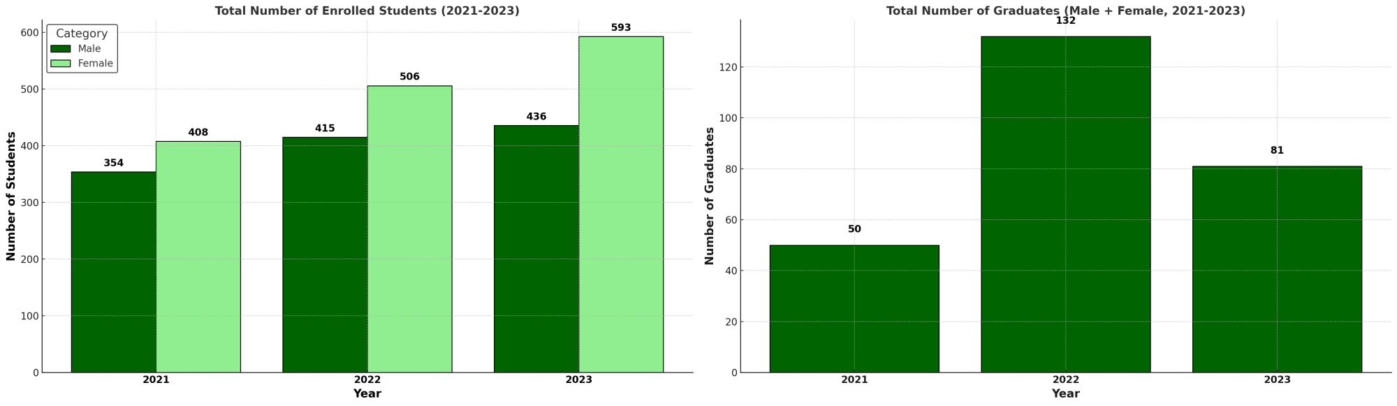 Enrolment and Graduation Rates